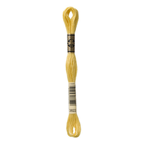 nr. 3822 DMC Broderigarn