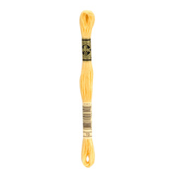 nr.19 DMC Broderigarn