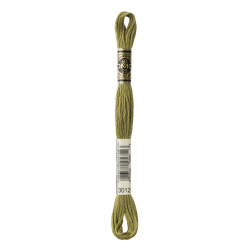nr.3012 DMC Broderigarn
