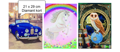 Kort  21x29 cm